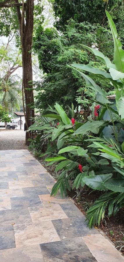 Tucan Hotel Uvita Kültér fotó